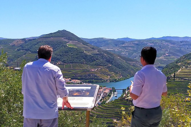 Wine Venture and Boat Trip in Douro Valley From Porto - Boat Trip on the Douro River