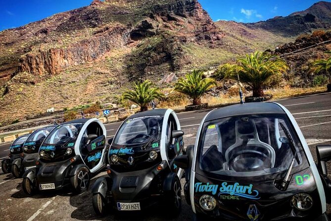 4 Hours Eco Safari Tour With Electric Car in Tenerife - Key Points