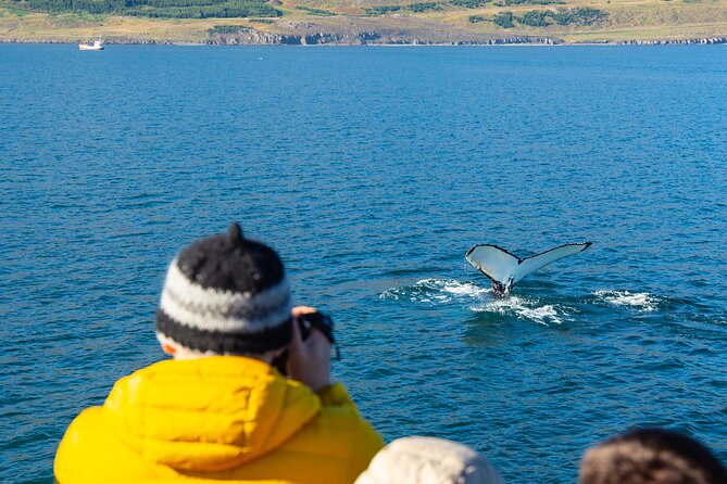 100% Whale Watching - Confirmation and Cancellation