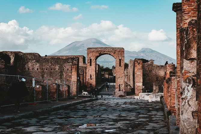 2-hour Private Guided Tour of Pompeii - Additional Information