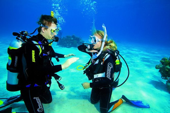 3-Hour Guided PADI Scuba Diving Experience in Tenerife - Personalized Guidance From Instructor