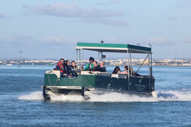 4 Stops | 3 Islands & Ria Formosa Natural Park - From Faro - Observing Marine Life