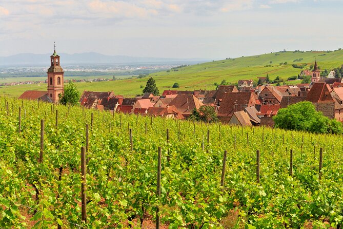 Alsace Wine Route Small Group Half-Day Tour With Tasting From Strasbourg - Confirmation and Accessibility