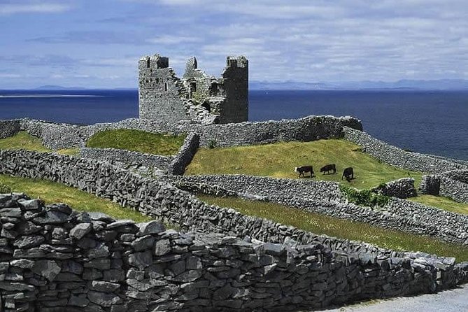 Aran Islands and Cliffs of Moher Cruise From Galway - Group Size and Seating