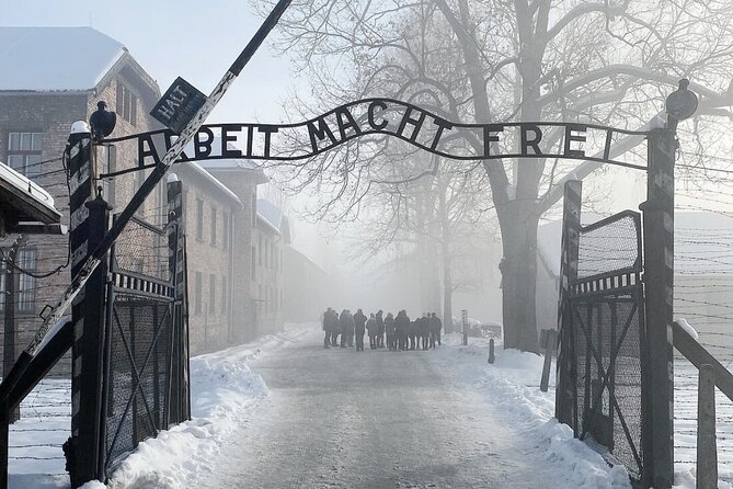 Auschwitz-Birkenau Guided Tour With Ticket & Transfer From Krakow - Age Recommendation