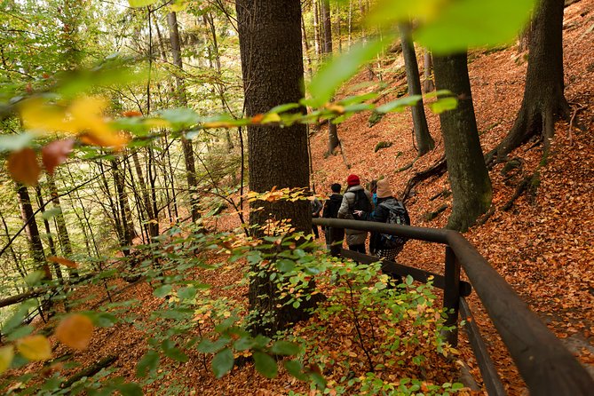 Bohemian and Saxon Switzerland National Park Day Trip From Prague - Best Reviews - Cancellation and Additional Information