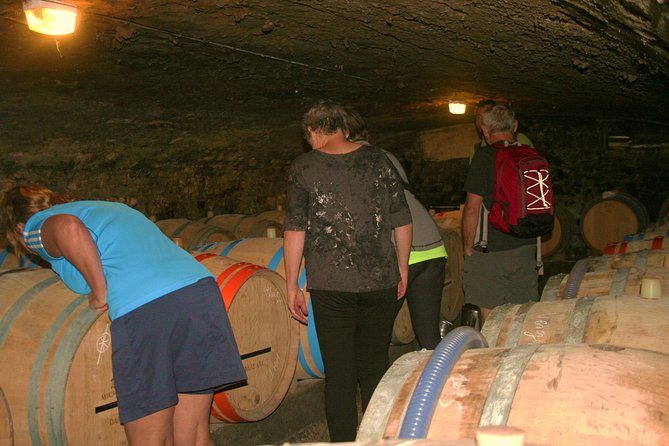 Burgundy Bike Tour With Wine Tasting From Beaune - Key Points