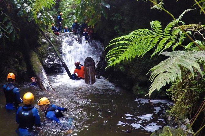 Canyoning in the Ribeira Dos CaldeirōEs Natural Park - Overview of the Activity
