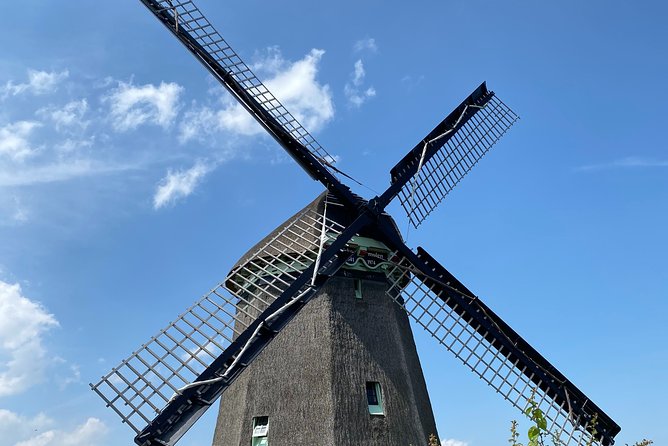 Countryside Electric Bike Tour: Zaanse Schans & Zaandam - Guided Experience Details