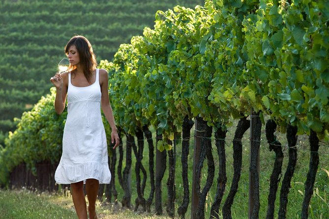 Countryside Half Day Wine Tour Near Vienna - Booking and Cancellation