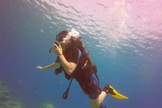 Discover Scuba Diving - Personalized Attention Promised