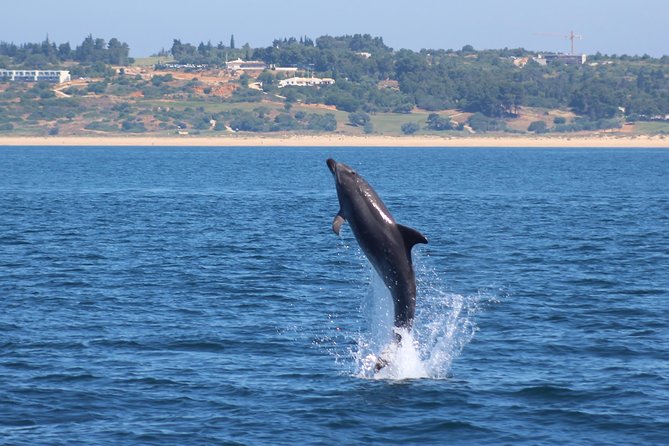 Dolphin-Watching in Marina De Lagos - Inclusions and Safety Equipment