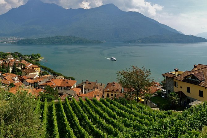 Domaso: Wine Tasting at the Winery on Lake Como - Pairing With Delectable Delicacies