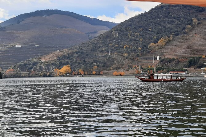 Douro Valley 3 Wine Experiences With Lunch & Optional Boat Cruise - Tour Duration