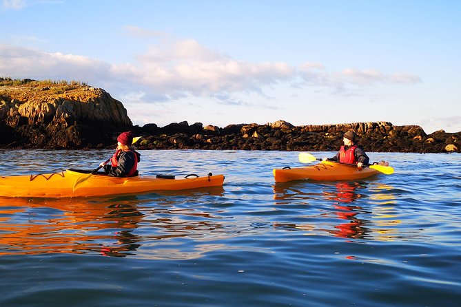 Dublin Bay Seal Kayaking Safari at Dalkey - Visitor Tips