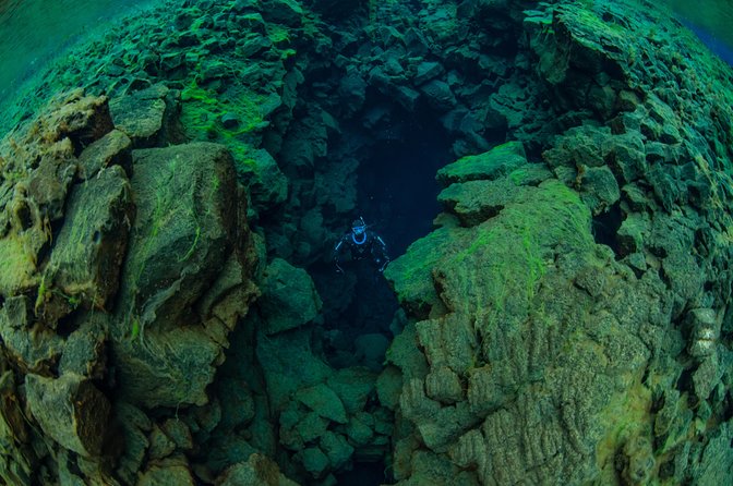 Freedive Silfra Half Day Tour - Preparing for the Freedive