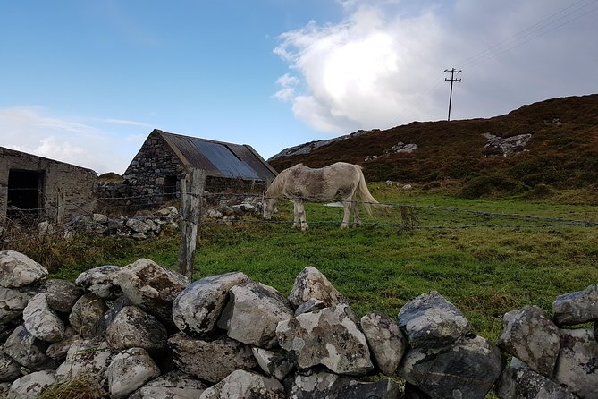 From Galway: Guided Tour of Connemara With 3 Hour Stop at Connemara National Pk. - Kylemore Abbey