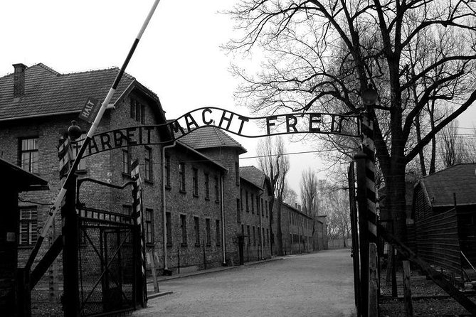 From Krakow: Auschwitz-Birkenau and Salt Mine With Private Transfer