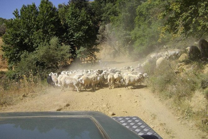 Full-Day Land Rover Safari From Heraklion With Lunch - Lassithi Plateau Exploration