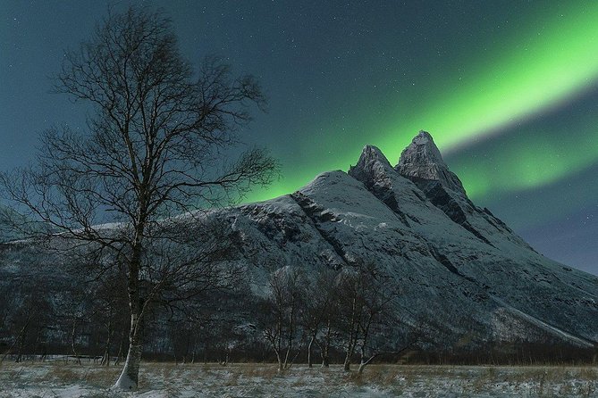 Full-Day Northern Lights Trip From Tromsø - Booking Confirmation and Cancellation Policy