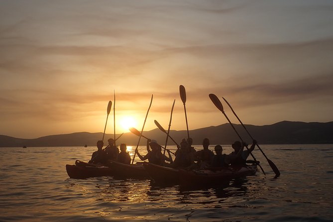 Half-Day Split Sea Kayak Adventure - Departure Times and Scheduling