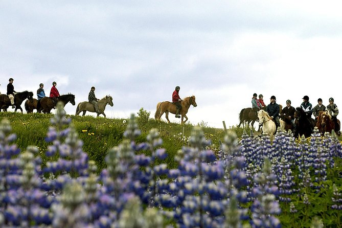 Icelandic Horseback Riding Tour Including Pick up From Reykjavik - Cancellation and Refund Policy