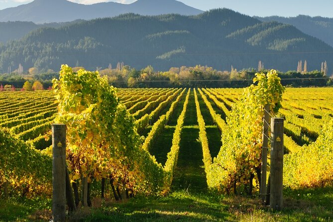 Kakheti: Bodbe (Monastery), Sighnaghi (Love City), Telavi Wine Tour From Tbilisi - Romantic City of Sighnaghi