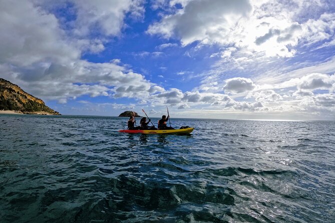 Kayak Adventure: Cliff Jumping, Sea Caves, Snorkeling and Lunch - Exploring Fossil-Filled Sea Caverns