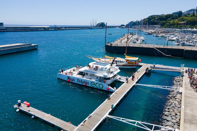 Madeira Dolphin and Whale Watching on a Ecological Catamaran - Meeting Point and Arrival Instructions