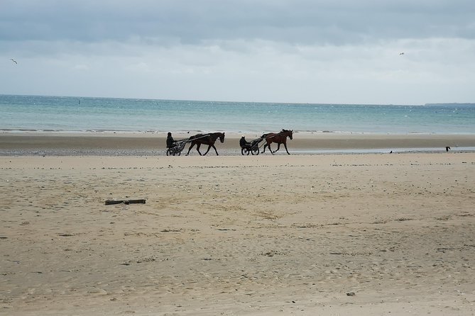Normandy Beaches Half-Day Afternoon Trip From Bayeux (A2) - Accessibility and Transportation