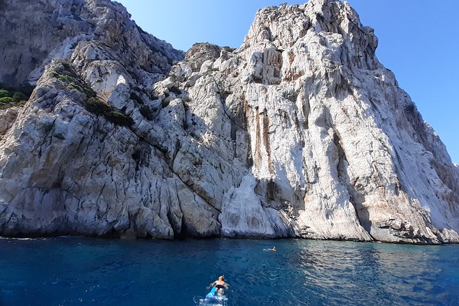 Observation of Dolphins and Snorkeling in a Rubber Boat in Olbia - Swimming and Snorkeling in Moresca Cove