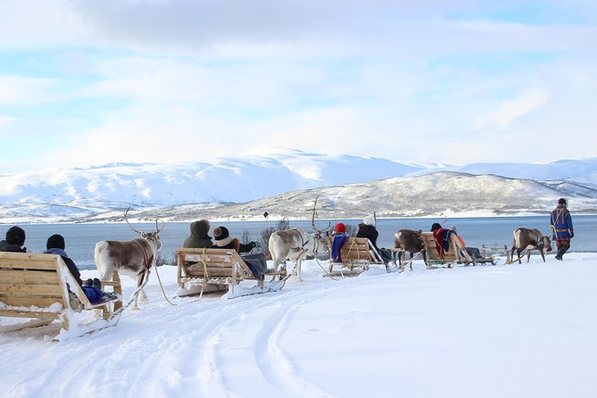 Reindeer Sledding Experience and Sami Culture Tour From Tromso - Additional Information