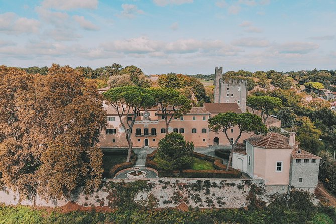 Roman Countryside Food & Wine Tasting in a Medieval Winery - Availability and Accessibility