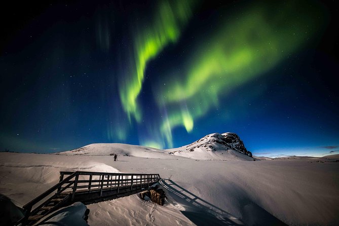 Rovaniemi Northern Lights Photography Small-Group Tour - Capture Stunning Auroras