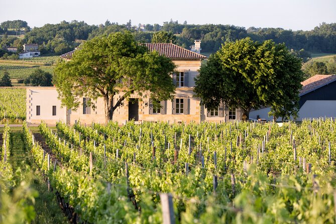 Saint Emilion Half-Day Trip With Wine Tasting & Winery Visit From Bordeaux - Wine Tasting Experience