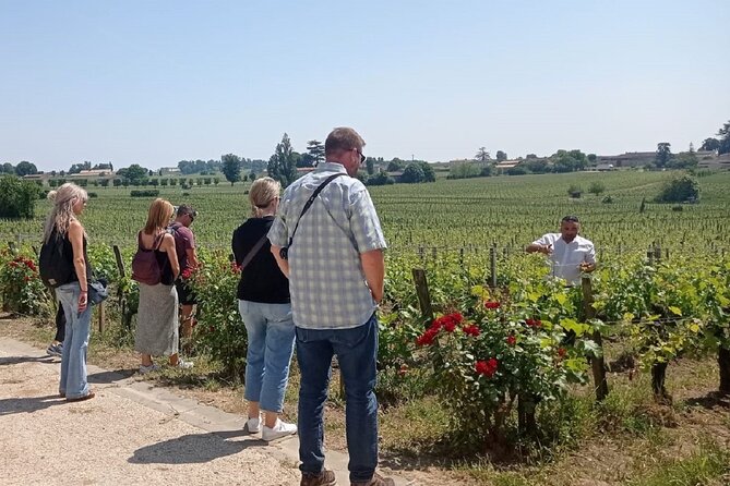 Saint-Emilion Morning Wine Tour - Winery & Tastings From Bordeaux - Transport and Tour Guide