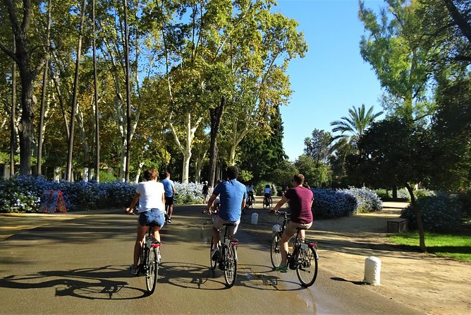 Seville Electric Bike Small Group Tour - Cancellation Policy and Changes
