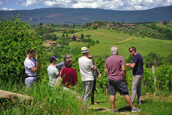 Siena: A Wine Tour and Tasting Experience - Price