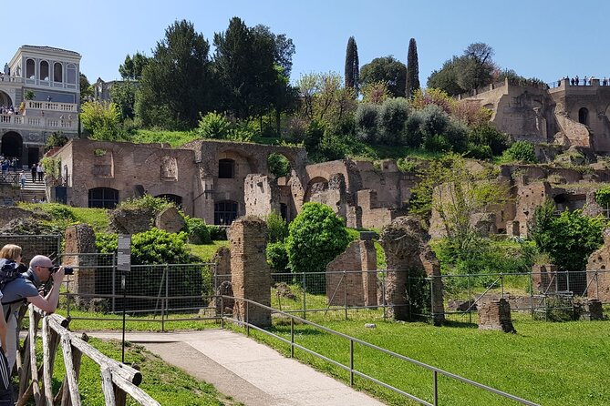 Skip The Line: Colosseum, Roman Forum, Palatine Hill Guided Tour - Cancellation Policy