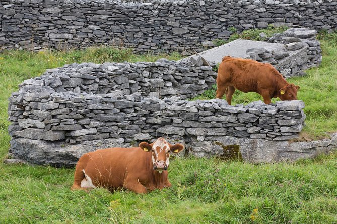 Small Group - Cliffs Cruise, Aran Islands and Connemara in One Day From Galway - Connemara Landscapes
