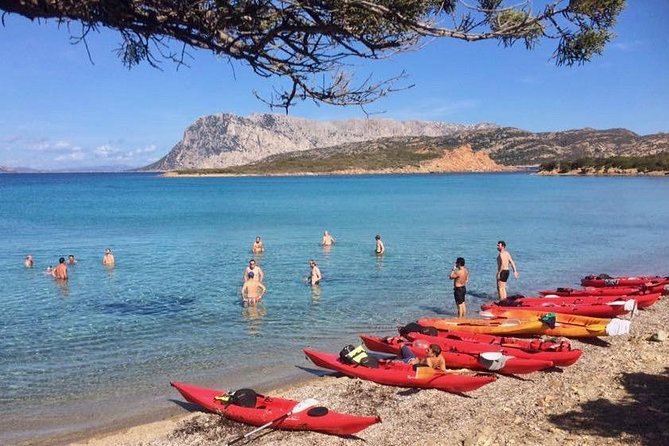 Small Group Kayak Tour With Snorkeling and Fruit - Accessibility and Restrictions