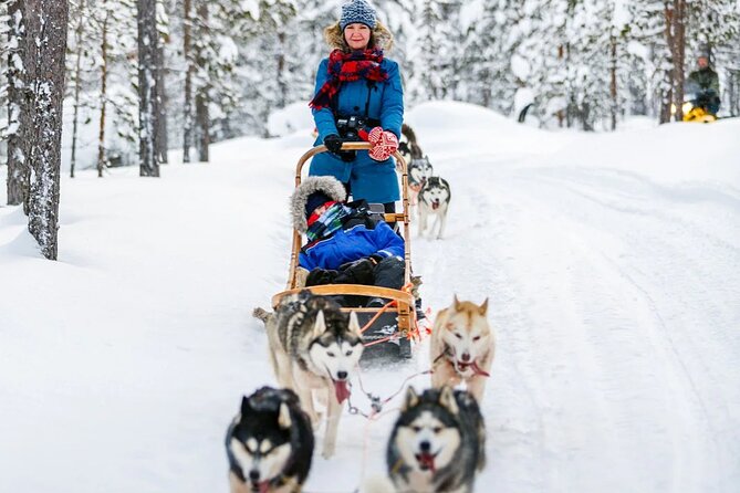 Snowy Trails 10KM Husky Safari From Rovaniemi - Photo Opportunities