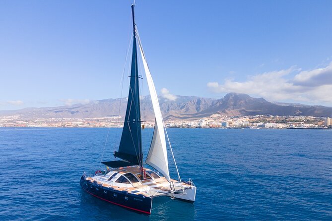 Tenerife Whales and Dolphins Watching Experience in Catamaran - Transportation and Group Size