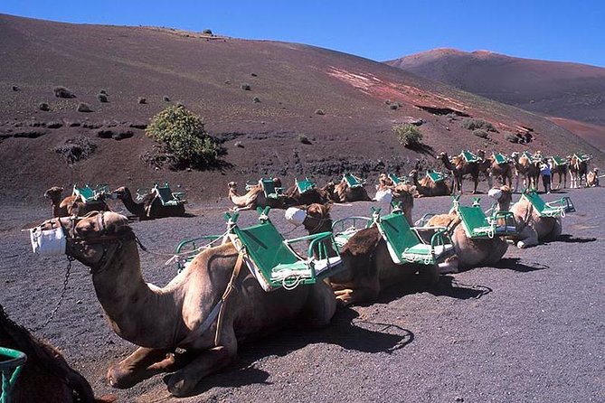 Timanfaya, Golfo, Jameos Del Agua & Camel Ride (Optional) - Lanzarote - Stunning Volcanic Landscapes
