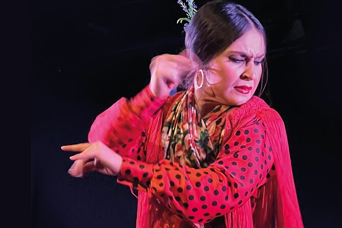 Traditional Flamenco Show at Tablao Casa Ana - Participant Eligibility