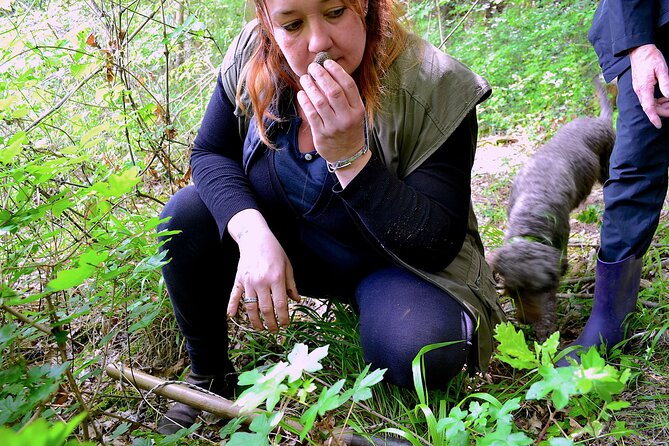 Truffle Hunting Experience With Lunch in San Miniato - Scheduling and Availability