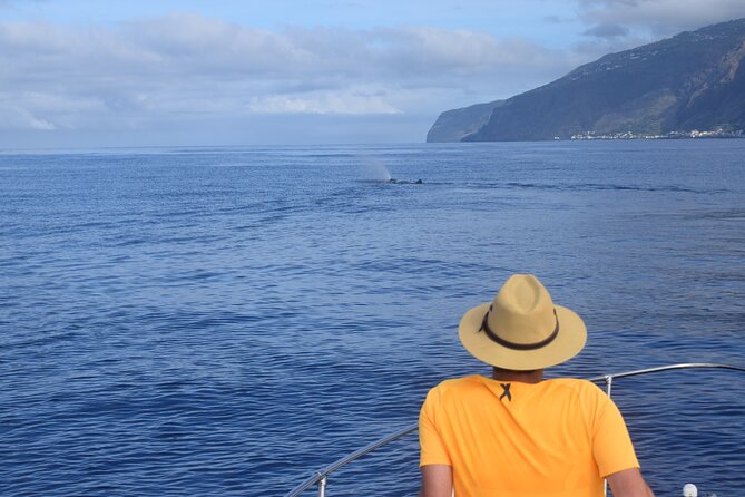 Whale and Dolphin Watching Tour in Madeira - Booking Details