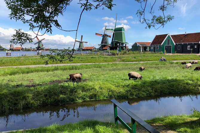 Zaanse Schans Windmills and Volendam Small-Group Tour From Amsterdam - Cheese Tasting and Dutch Fruit Wine
