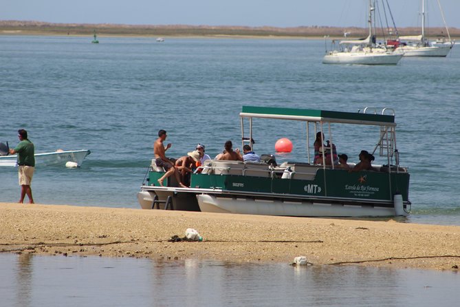 4 Stops | 3 Islands & Ria Formosa Natural Park - From Faro - Learning About Oyster Cultivation