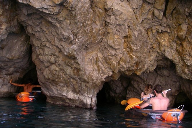 Amalfi Coast 4-Hour Kayak Tour From Marina Del Cantone - Discovering Marine Wildlife
